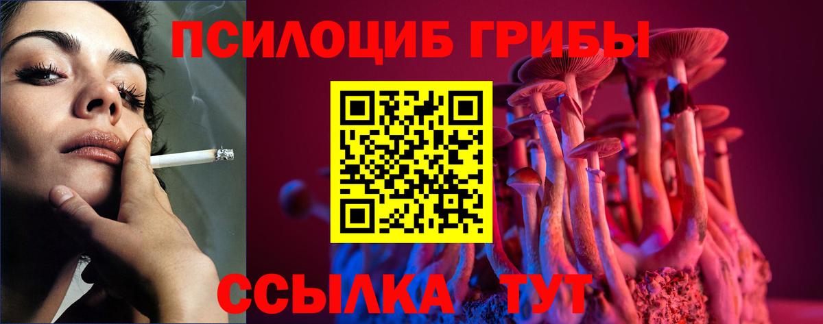 Псилоцибиновые грибы Psilocybine cubensis  Вход с VPN  Черногорск 